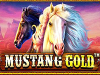 Mustang Gold